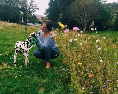 Propose pet-sitting pour les vacances