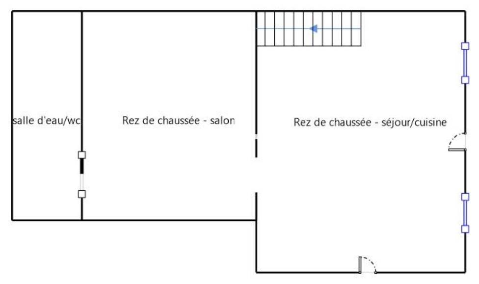Une photo de l’annonce