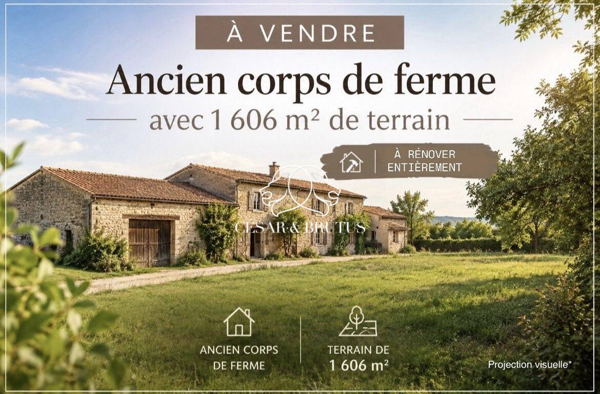 Une photo de l’annonce