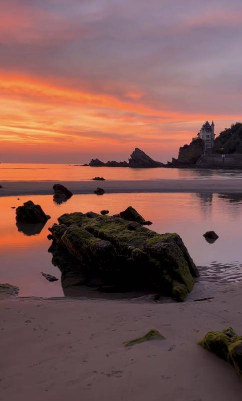 Une photo de l’annonce