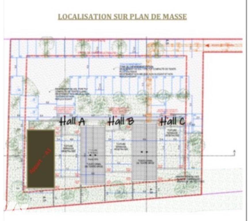 Une photo de l’annonce