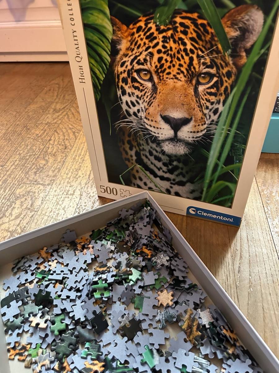 Puzzle compact 500 pièces / Jaguar dans la Jungle