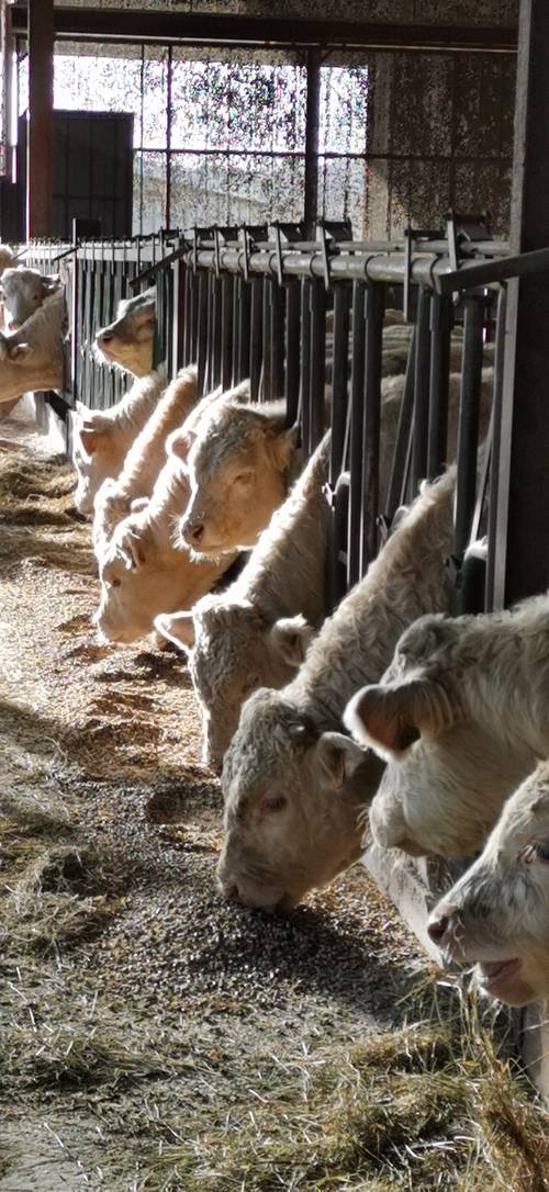 Recherche ouvrier agricole