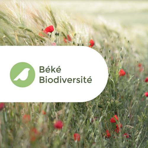 Propose Stage en communication - 2 mois