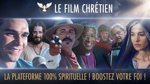 Recrute stagiaire ou alternant Relations clientèle pour Saje Distribution