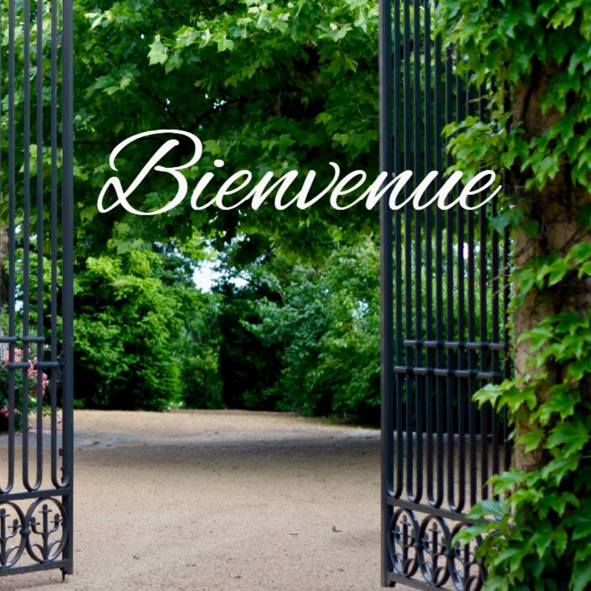 Recrute vendangeurs H/F Nord Beaujolais