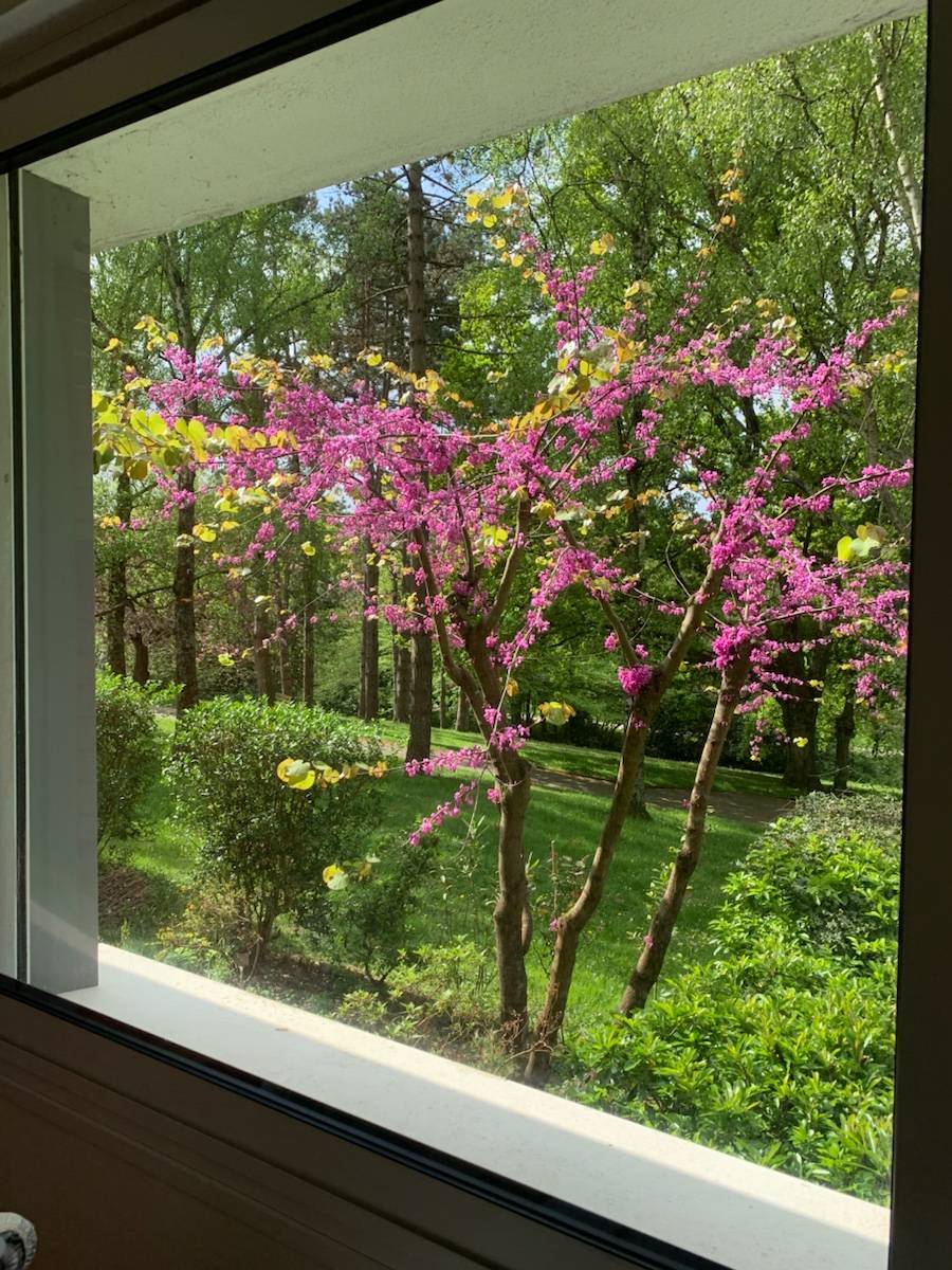 Propose repassage à mon domicile