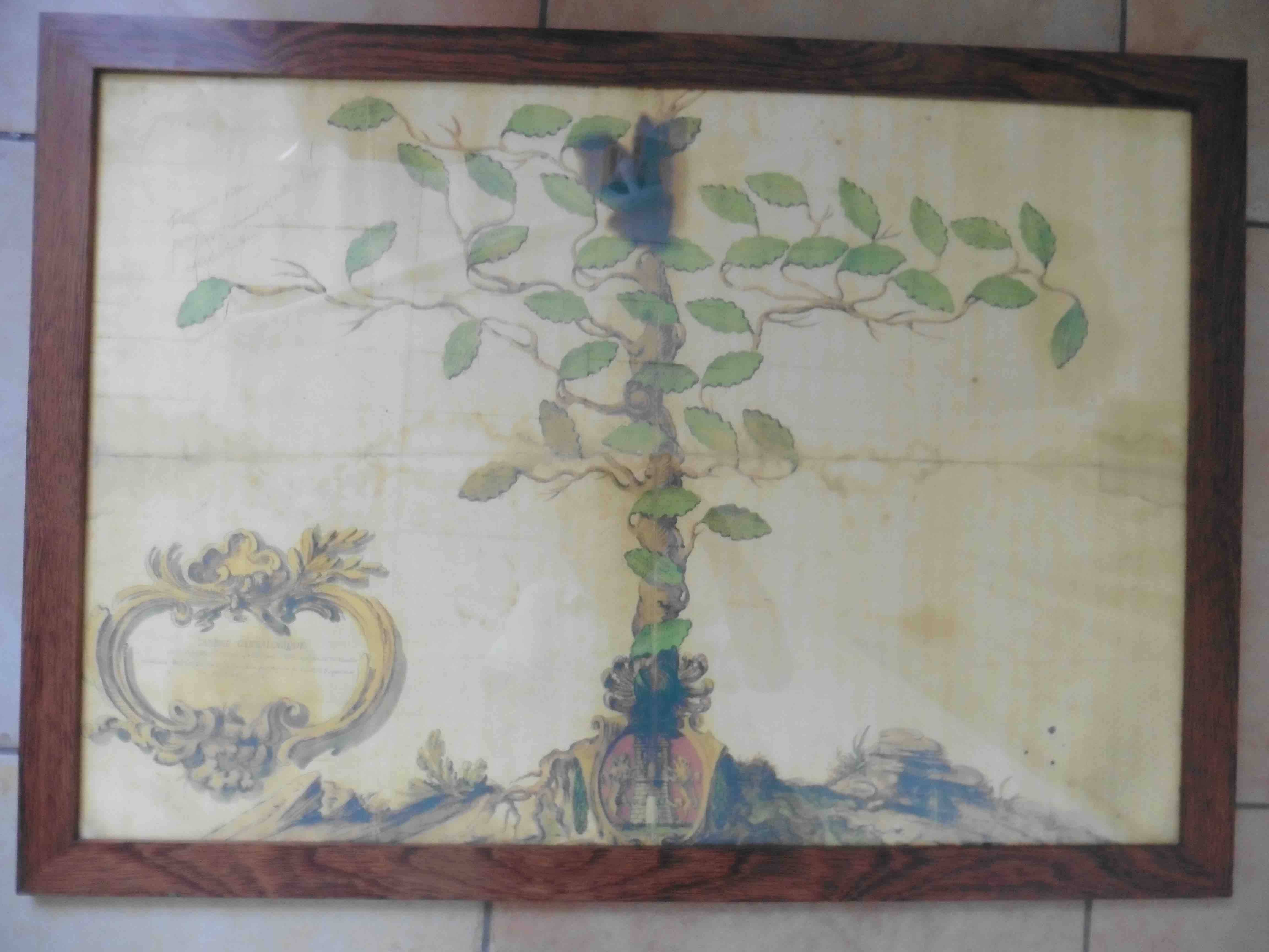 Reproduction encadrée arbre genealogique famille d’Ornano sur Gens de Confiance