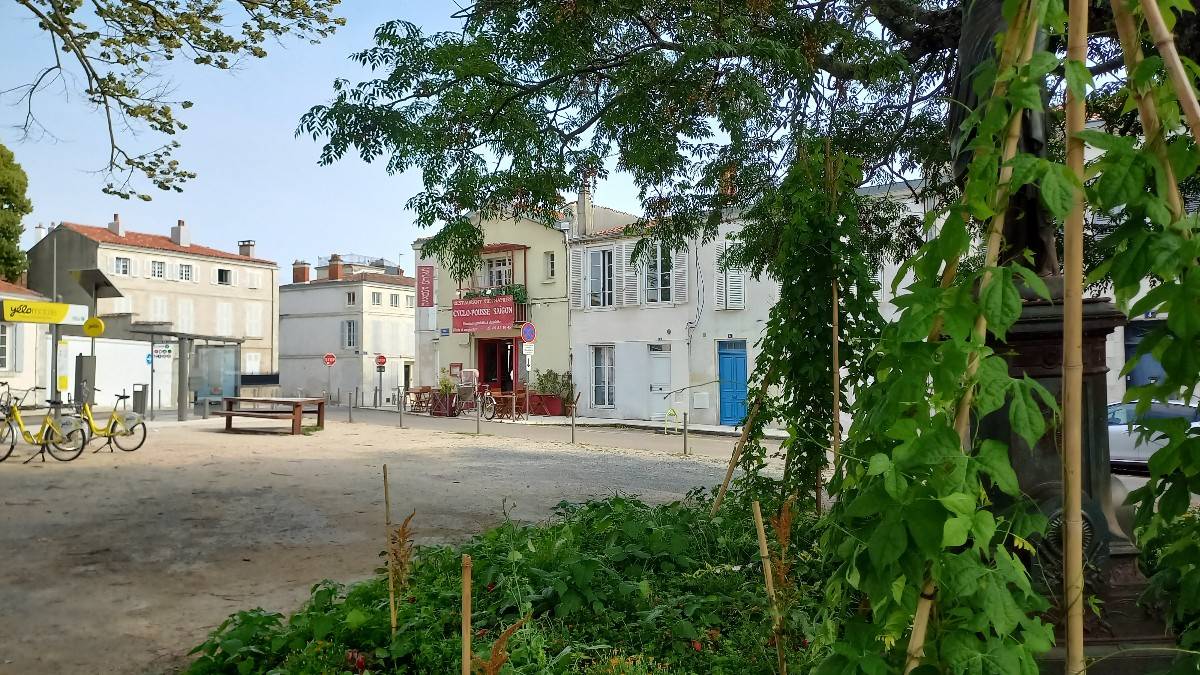 Une photo de l’annonce
