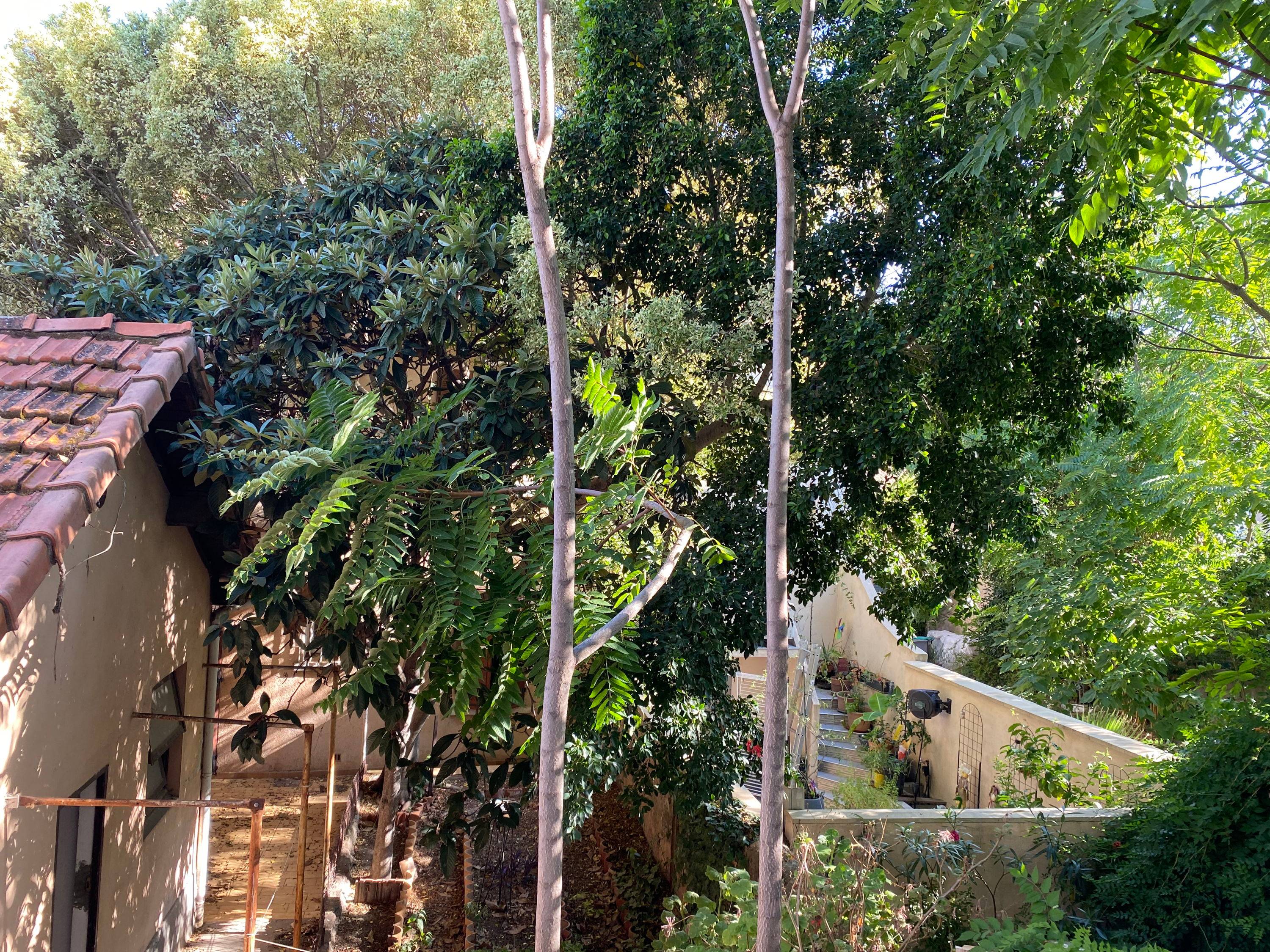 Loue T2 Saint Jean du Var + Terrasse - 28m², Toulon (83)