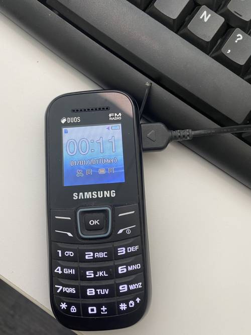 Samsung GT E1207y Duos – Téléphone Portable Dual SIM Radio FM Ma0016