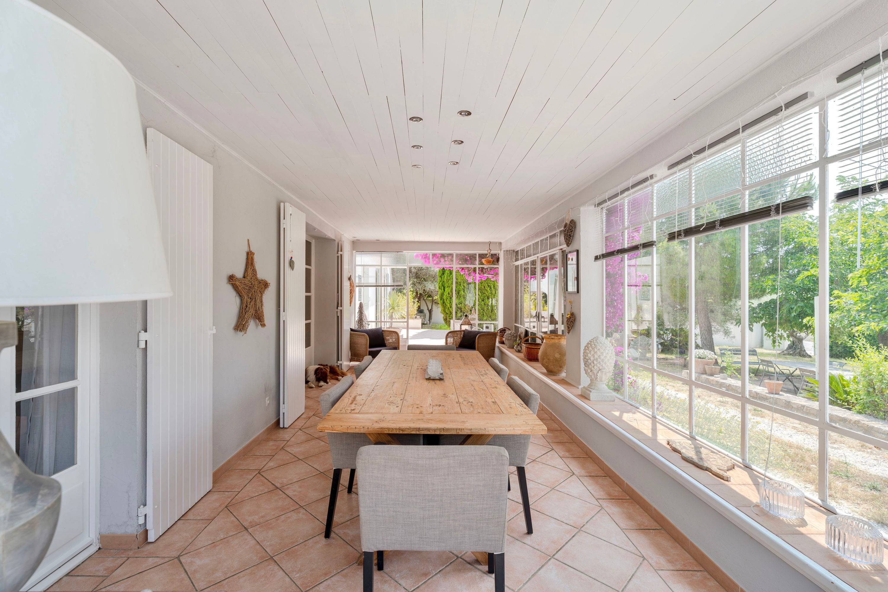 Une photo de l’annonce