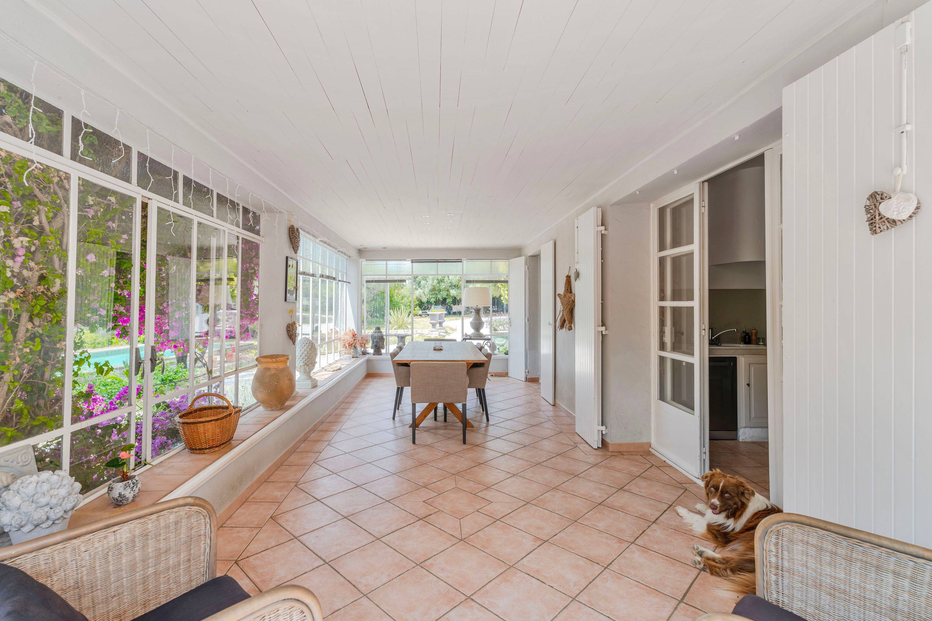 Une photo de l’annonce