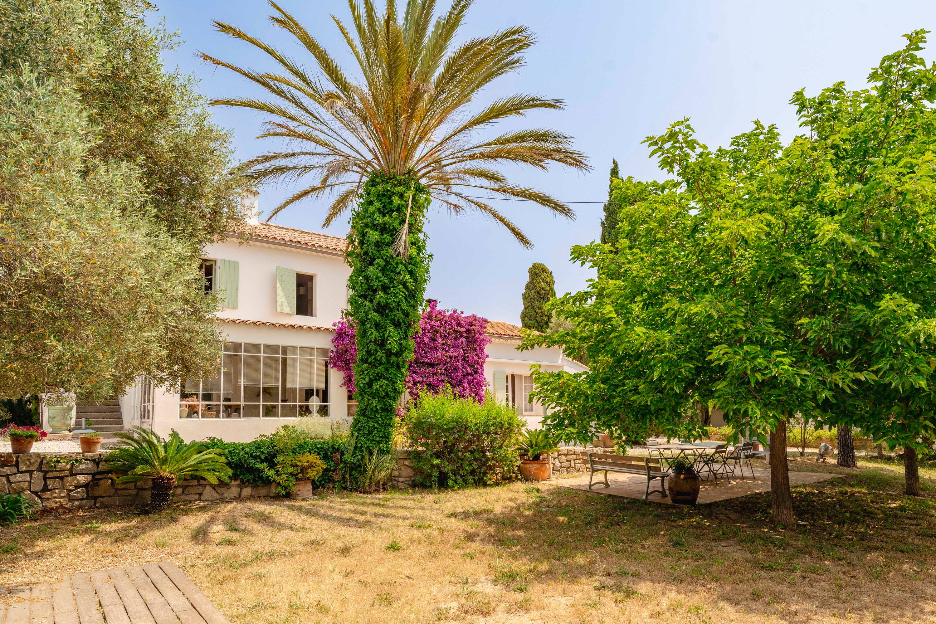 Une photo de l’annonce