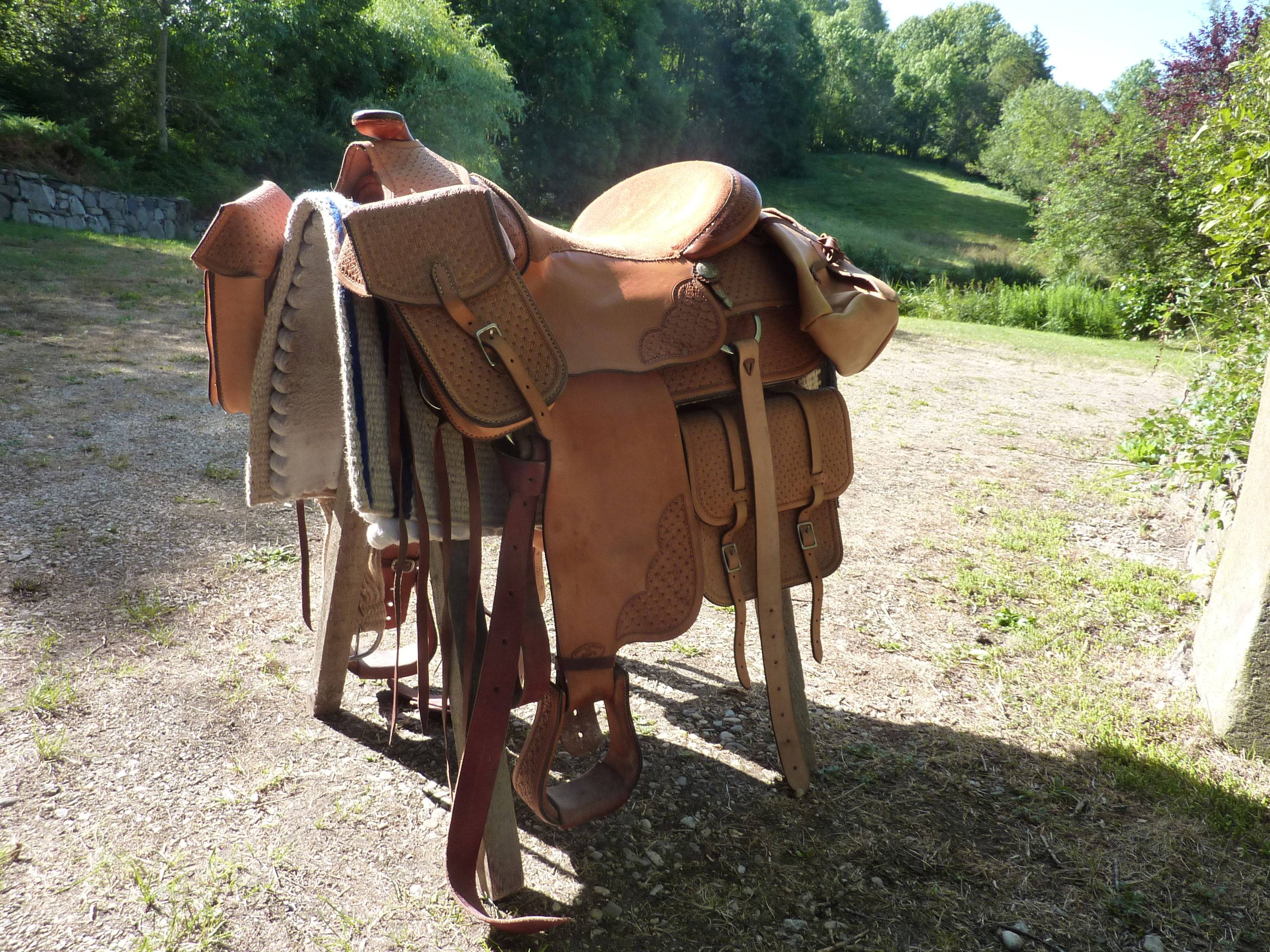Vends selle cheval western Bob toute équipée état neuve on Gens de ...