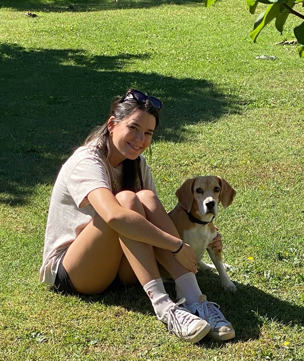 Propose services de garde d’animaux