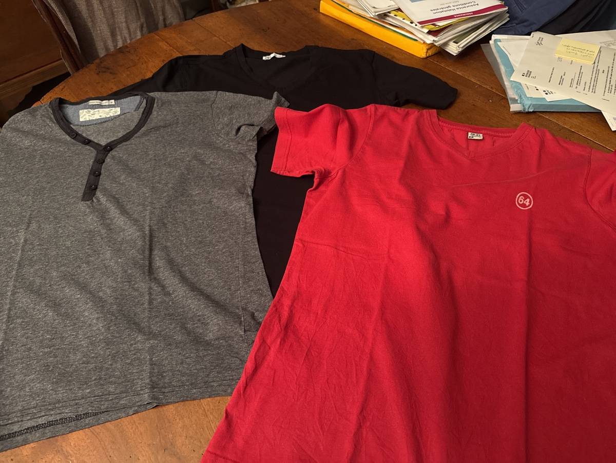 Vends 3 t-shirts col V - Taille M - Marque Best Mountain et Zara