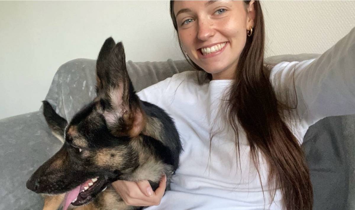 Propose Dog-sitter / Pet-sitting