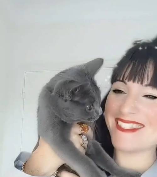 Pet Sitter / Cat Sitter propose visite à domicile et balades chiens chats nac