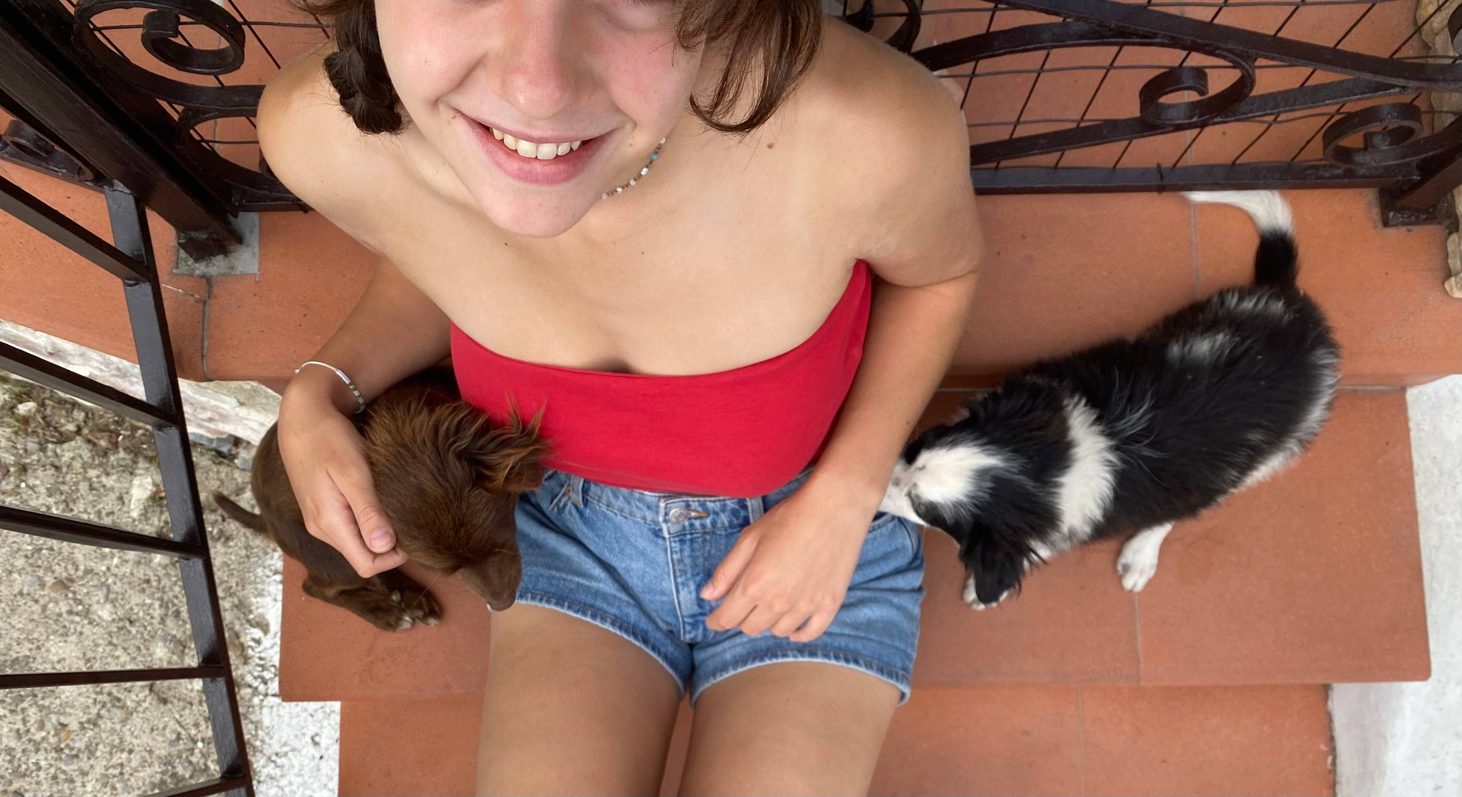 Pet-sitting, services et garde d’animaux