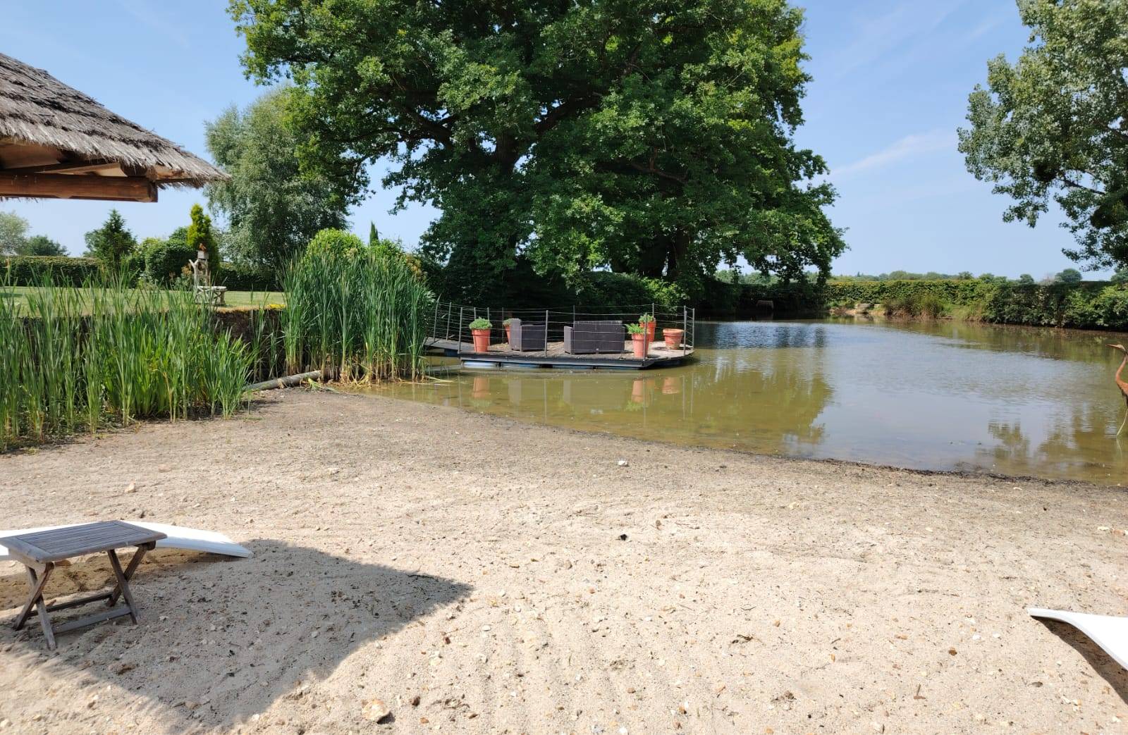 Une photo de l’annonce