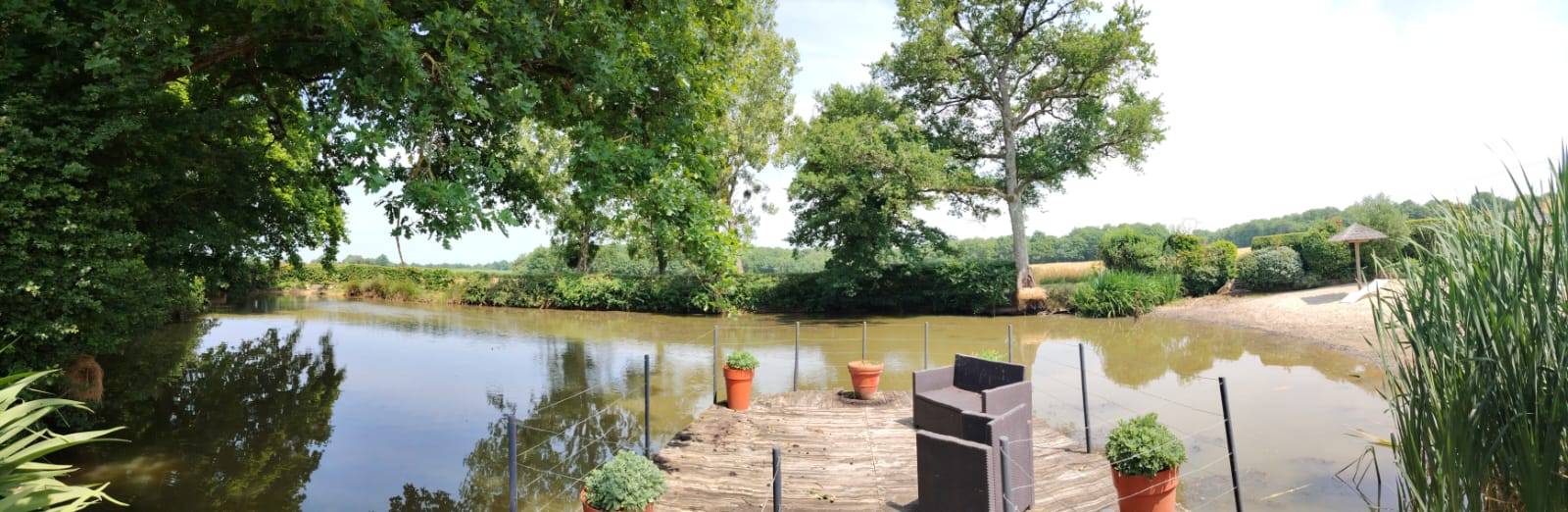 Une photo de l’annonce