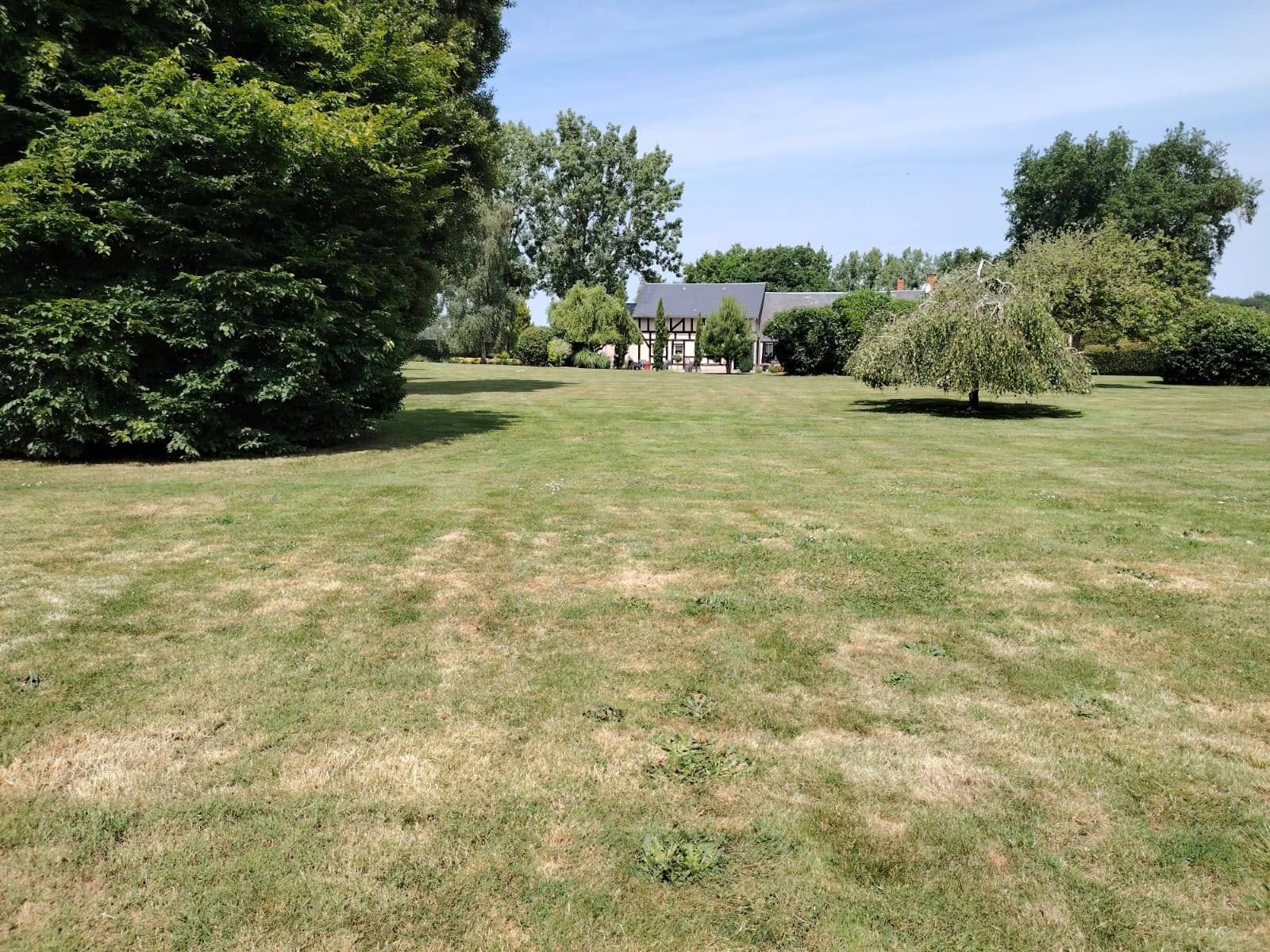 Une photo de l’annonce