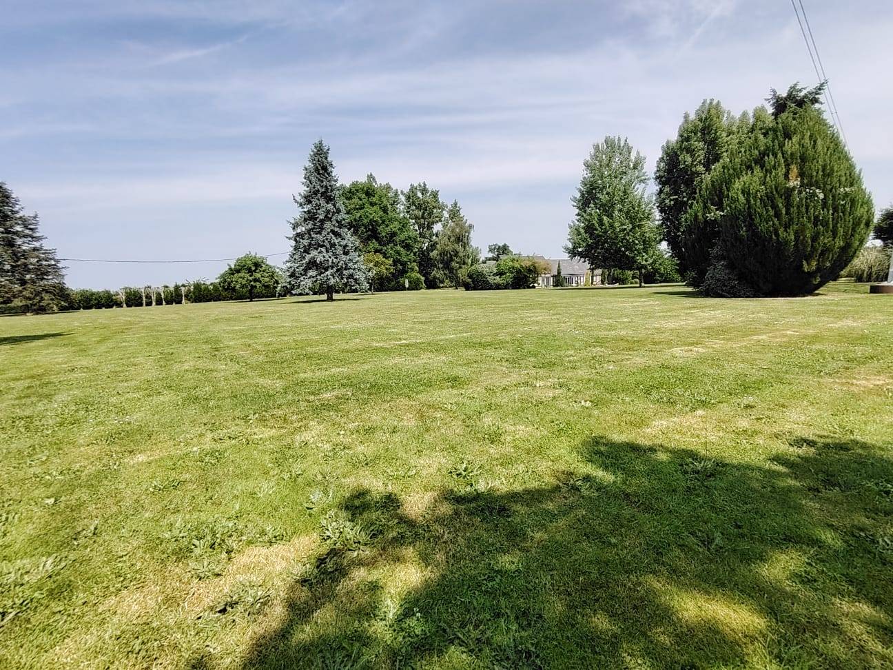 Une photo de l’annonce