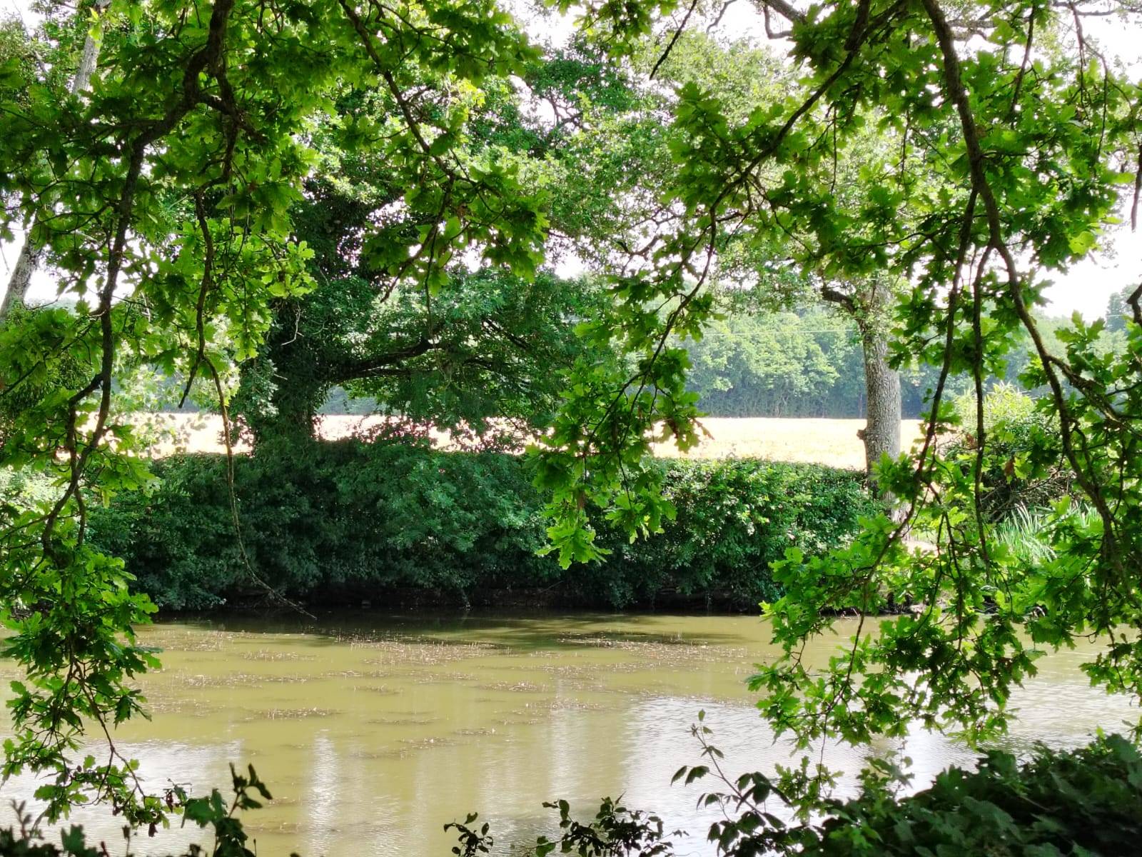 Une photo de l’annonce