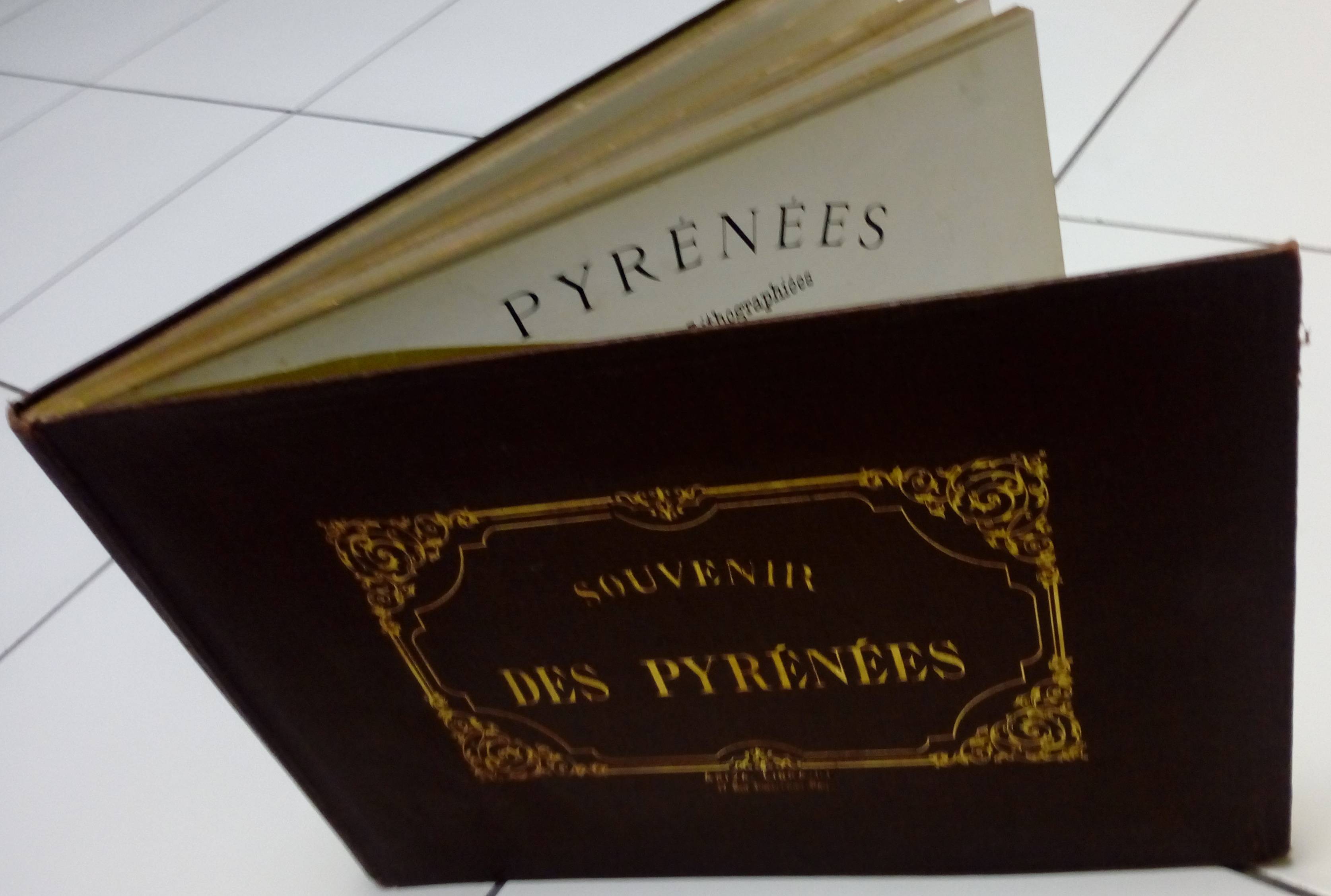 Vends souvenirs des Pyrénées d’après les dessins de Eugène Ciceri de 1813 à 1890 - 22 planches d’héliogravures