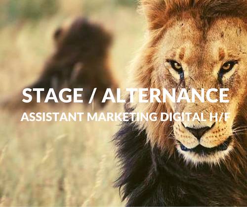 Propose Stage / Alternance - Assistant Marketing digital H/F