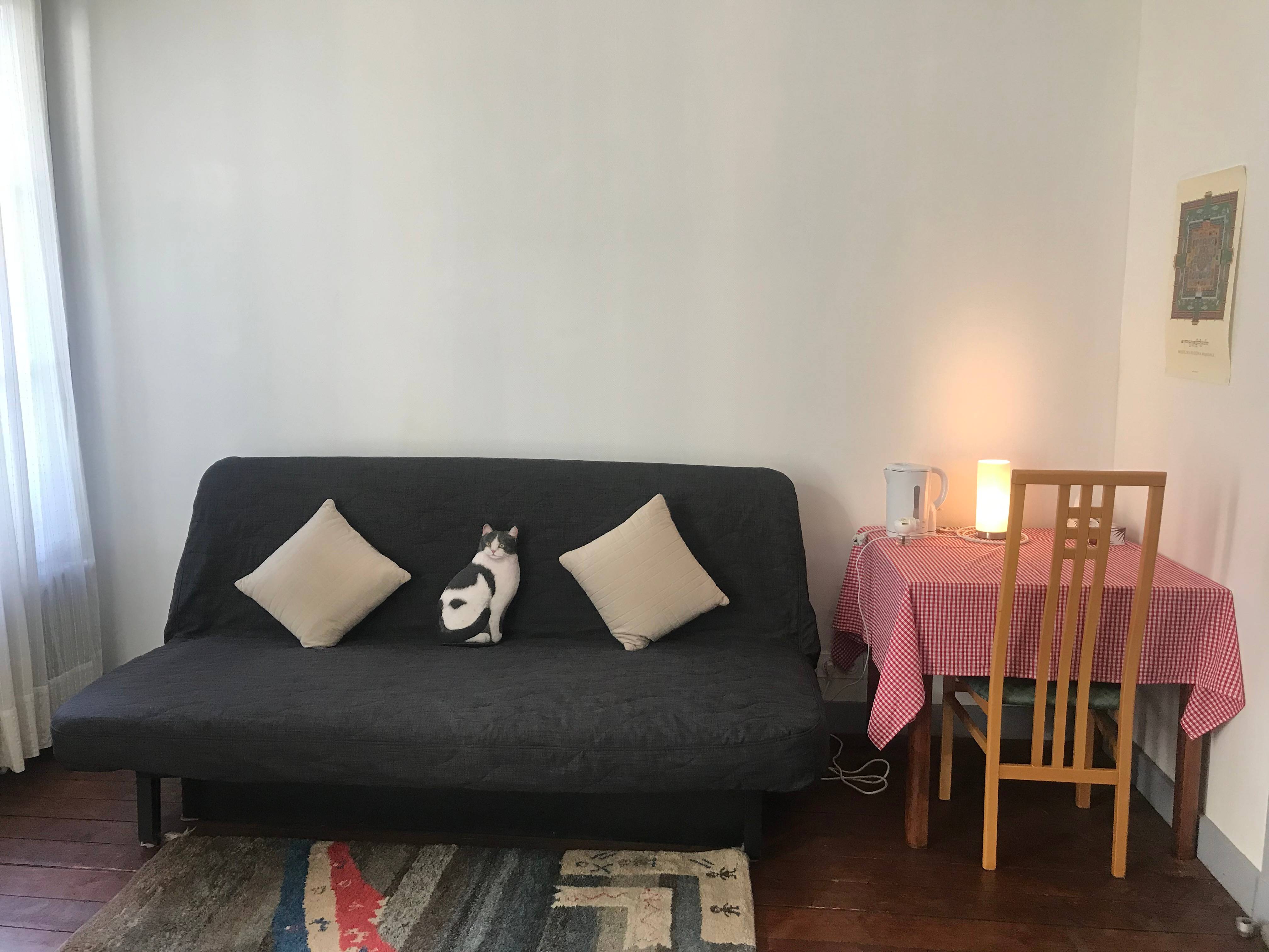 Une photo de l’annonce