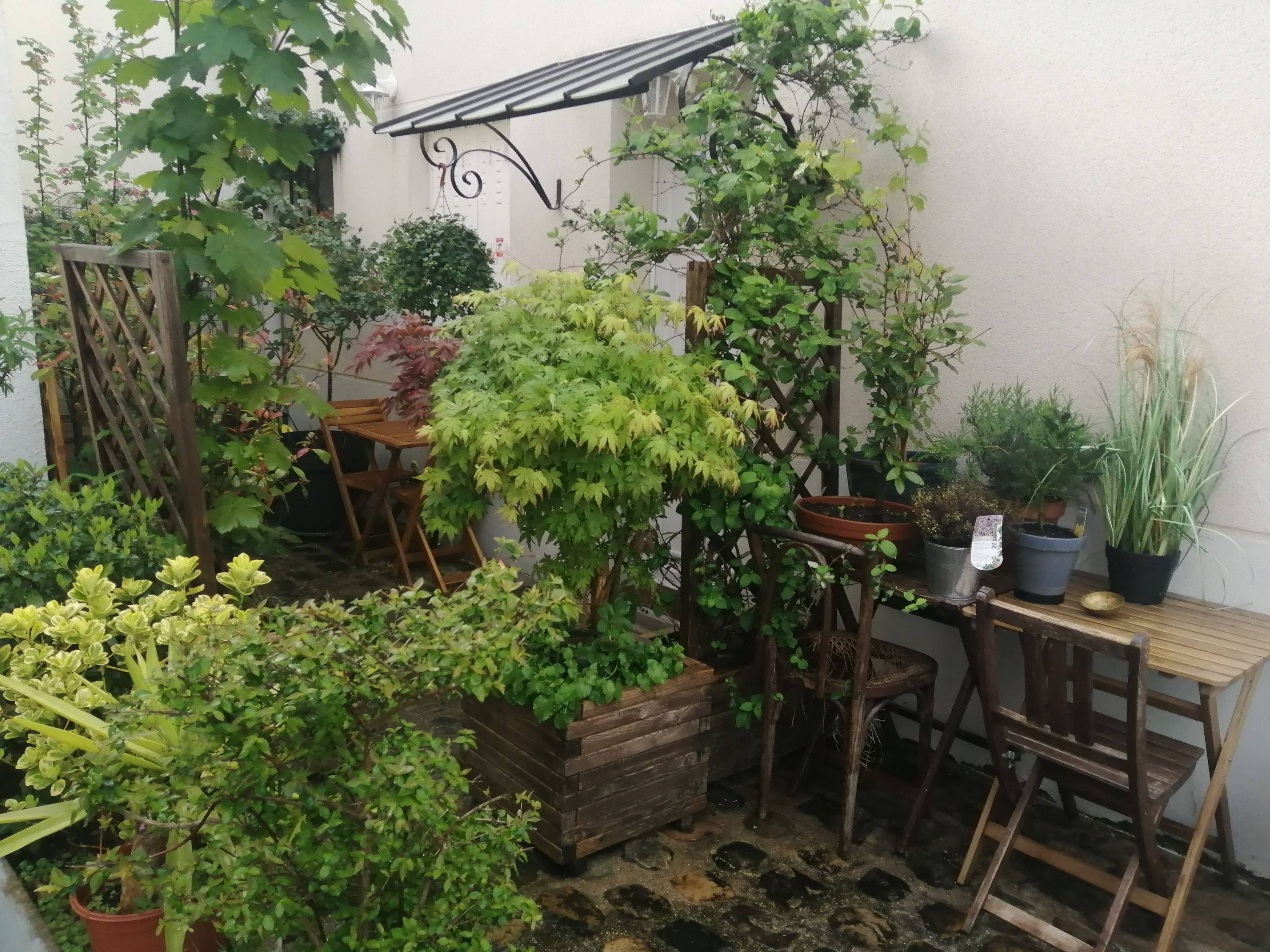 Une photo de l’annonce