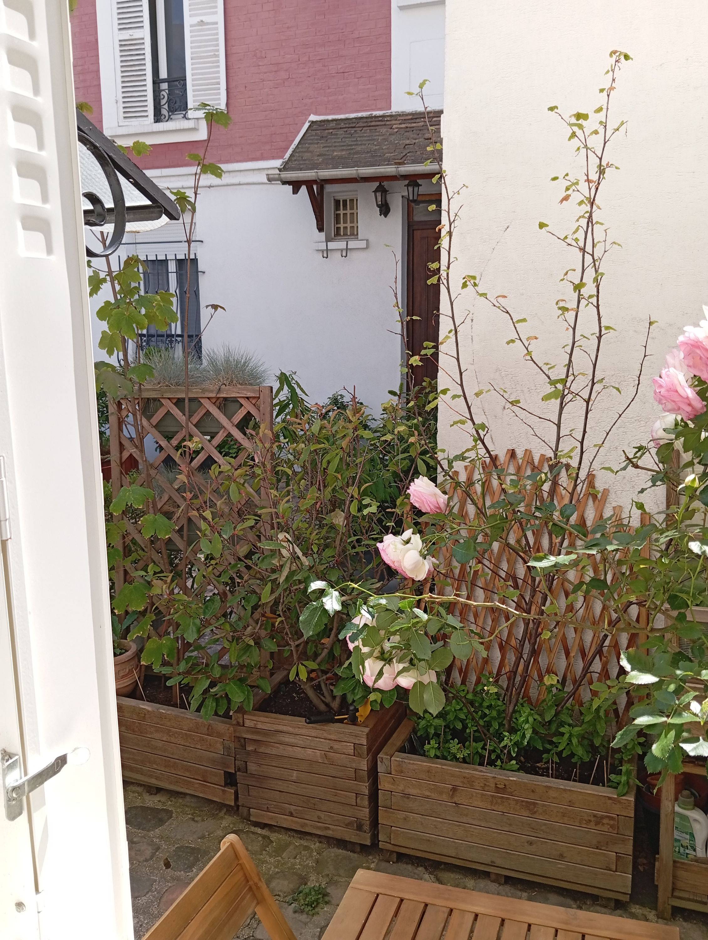 Une photo de l’annonce