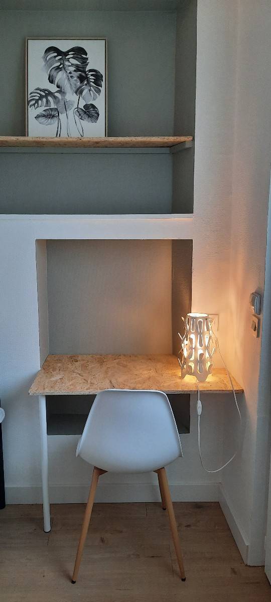 Une photo de l’annonce