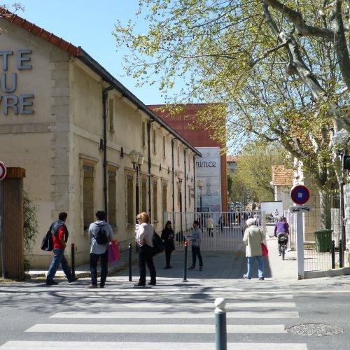 Une photo de l’annonce