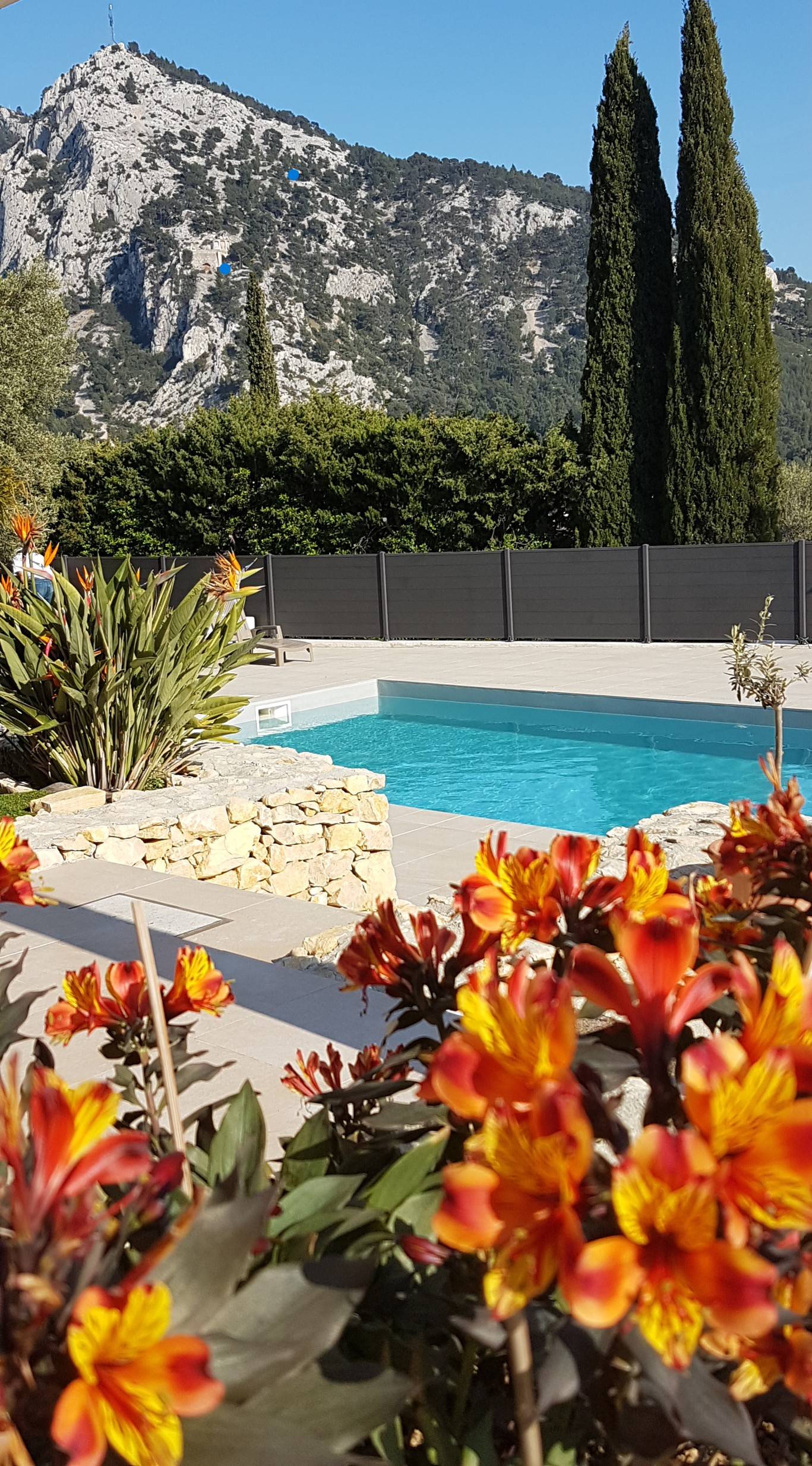 Une photo de l’annonce