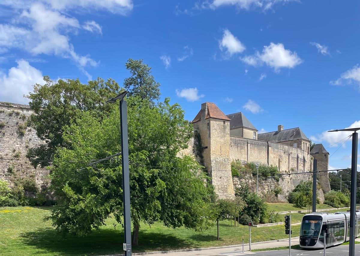 Une photo de l’annonce