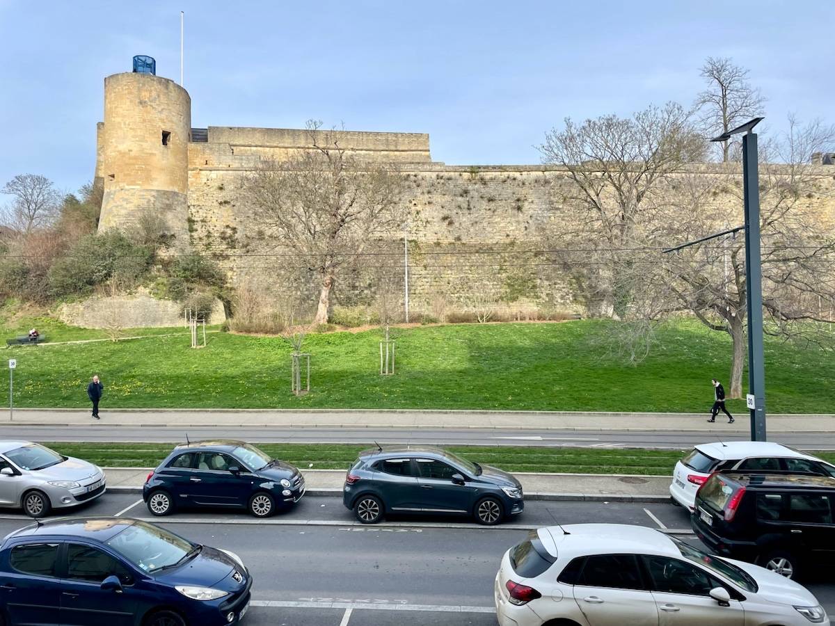 Une photo de l’annonce