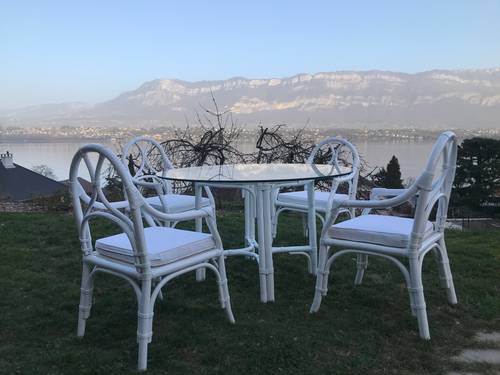 Superbe salon de jardin indoor/outdoor