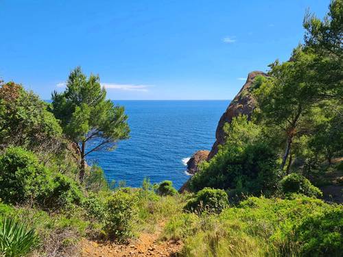 Loue superbe Mas provençal, 9 chambres, 19 couchages dans pinède face à la mer, La Ciotat (13)