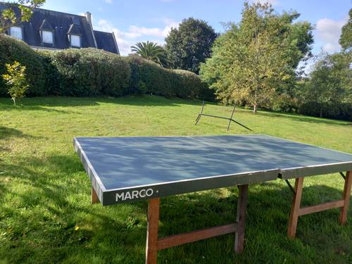 Table de ping pong