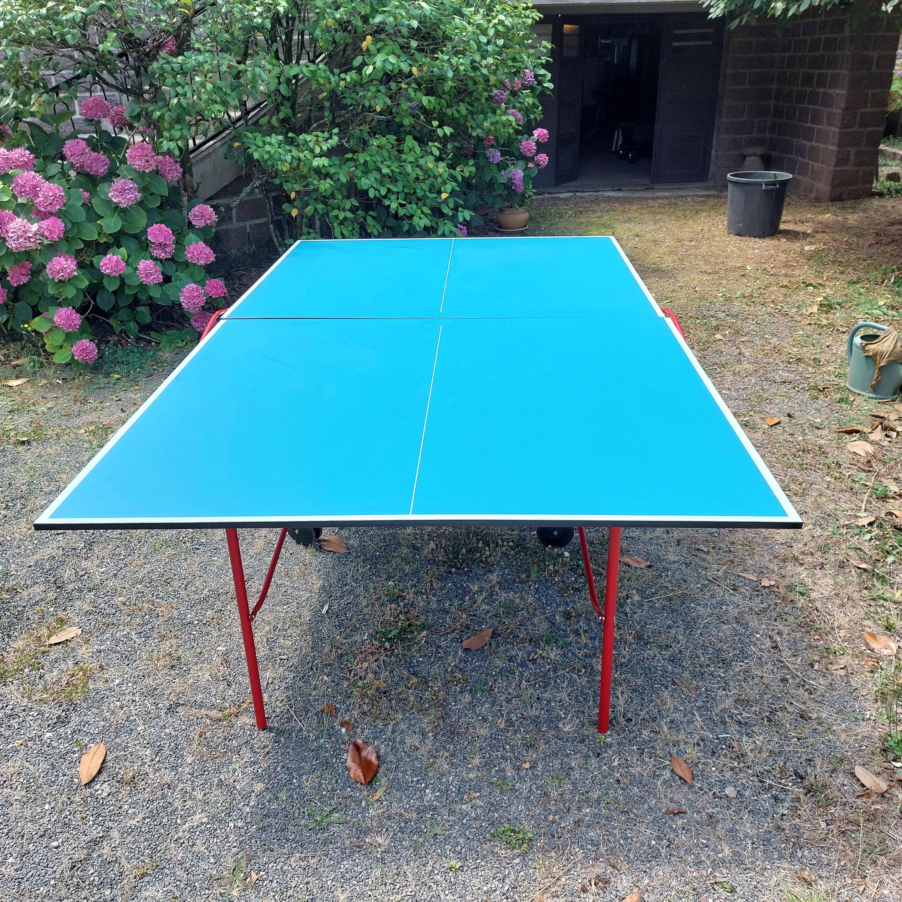 Table de ping-pong indoor