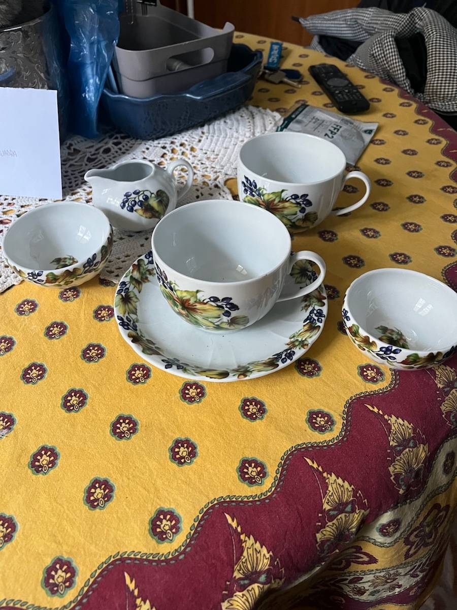 Lot de tasses marque Jacques cœur pour un jardin