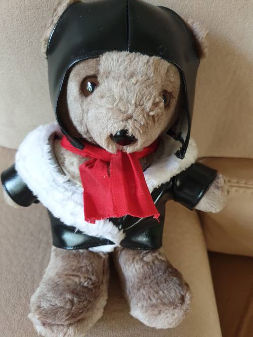 Teddy aviateur