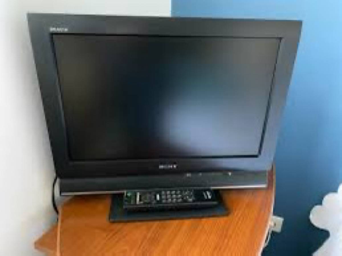 Télévision Sony Bravia 48 cm avec sa télécommande et cables