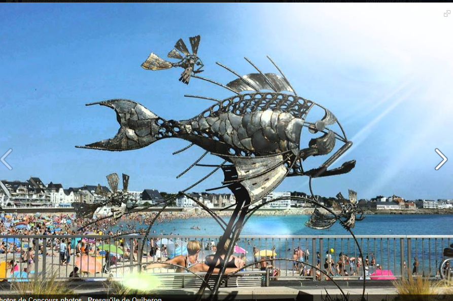 Une photo de l’annonce