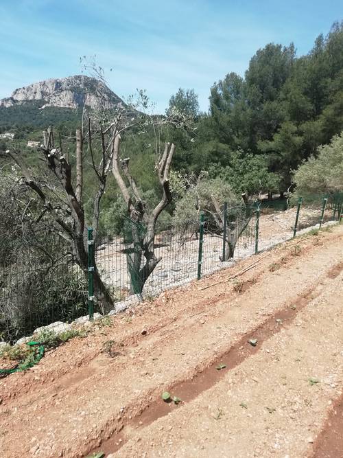 Terre à cultiver pour potager collaboratif