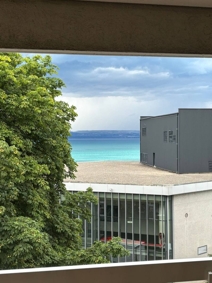 Une photo de l’annonce