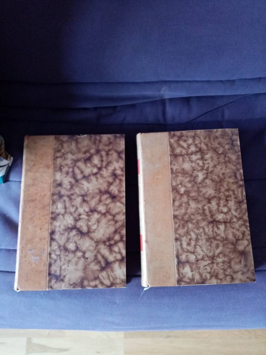 Tomes 1 et 2 des romans et contes de Voltaire en cuir fait main